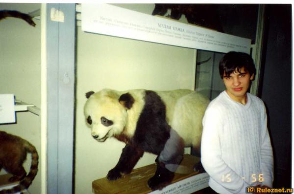 ����� ���� ���������